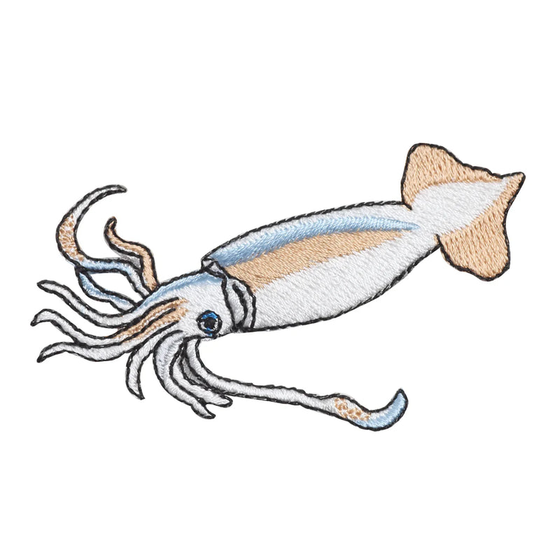 Patch/Japanese Common Squid