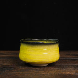 Matcha Bowl Verdant Veins