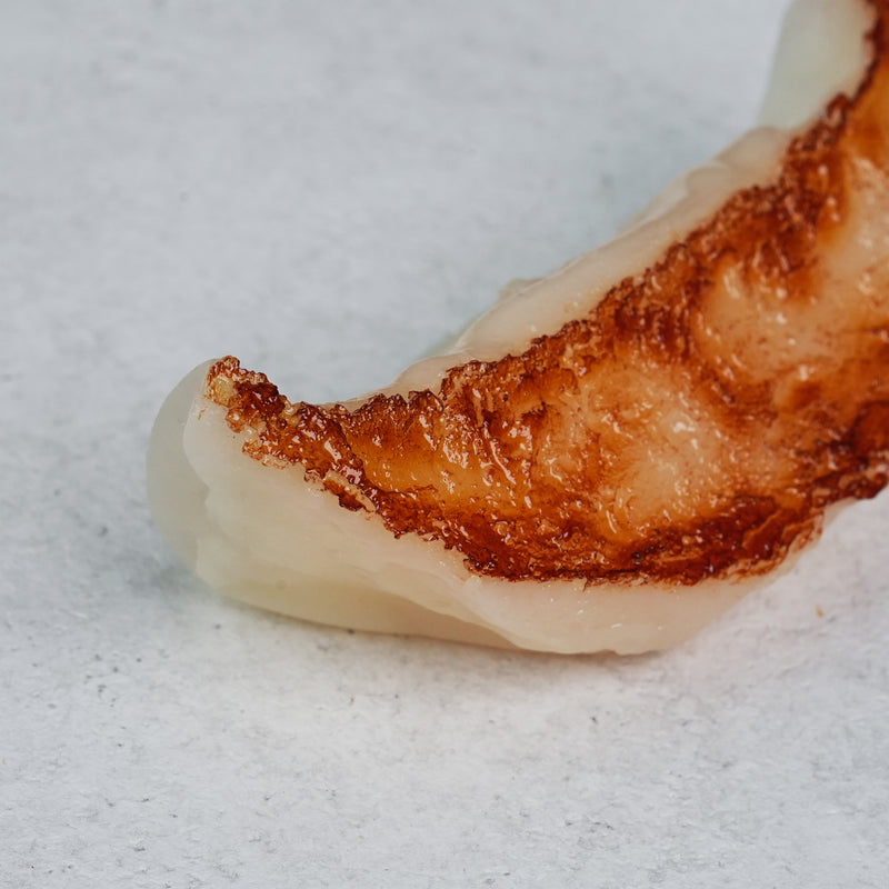 Foodie Magnet Gyoza