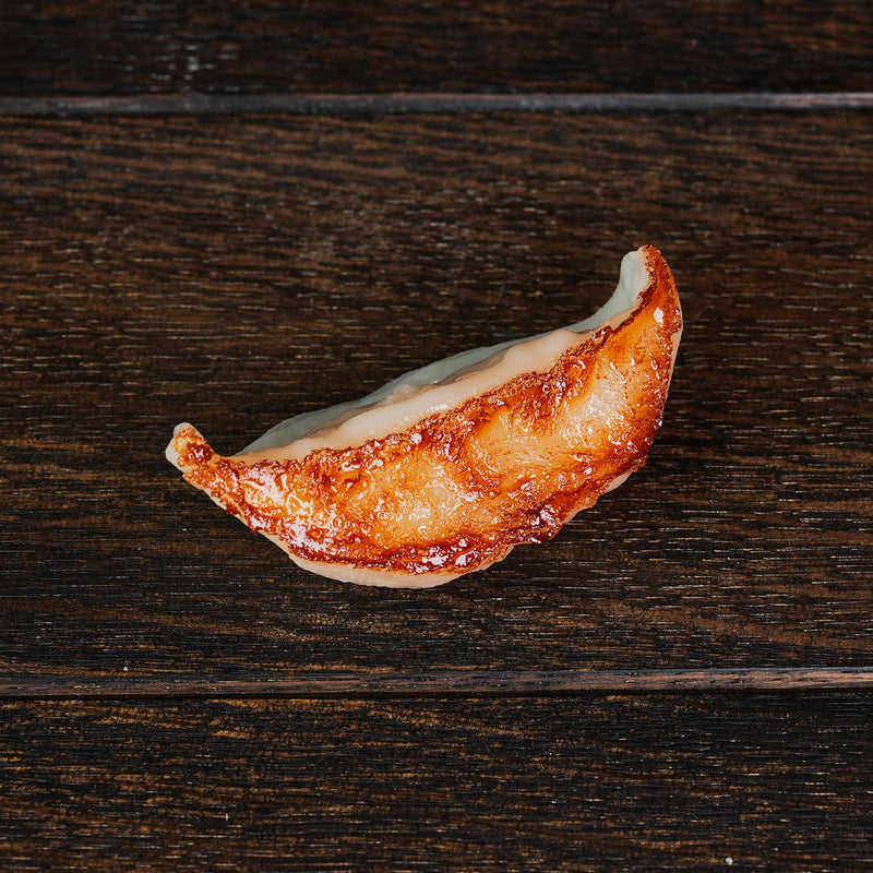 Foodie Magnet Gyoza