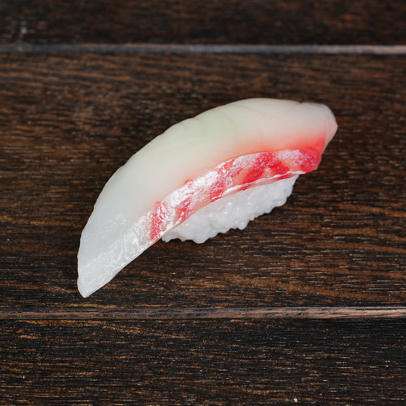 Foodie Magnet Sebi Nigiri