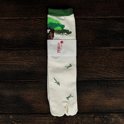 Tabi Socks／"Goyo-matsu" (Five Needle Pine)