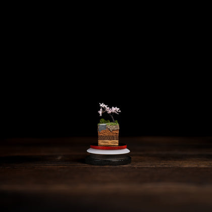 MicroScape Oasis Collection SR