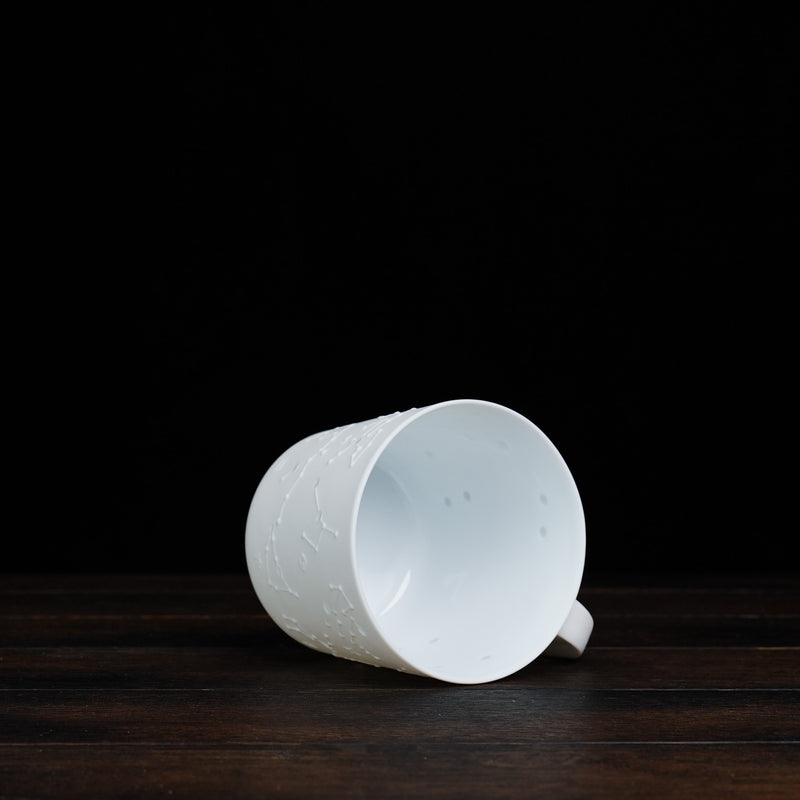 Constellation Mug