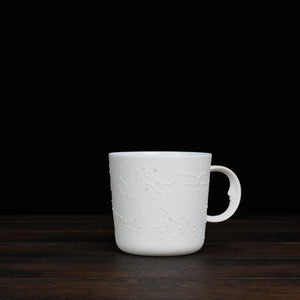 Constellation Mug