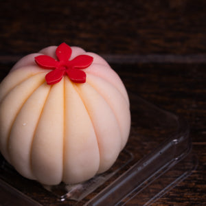 Solid Cleansing Handmade Soap - Pink Cake Design