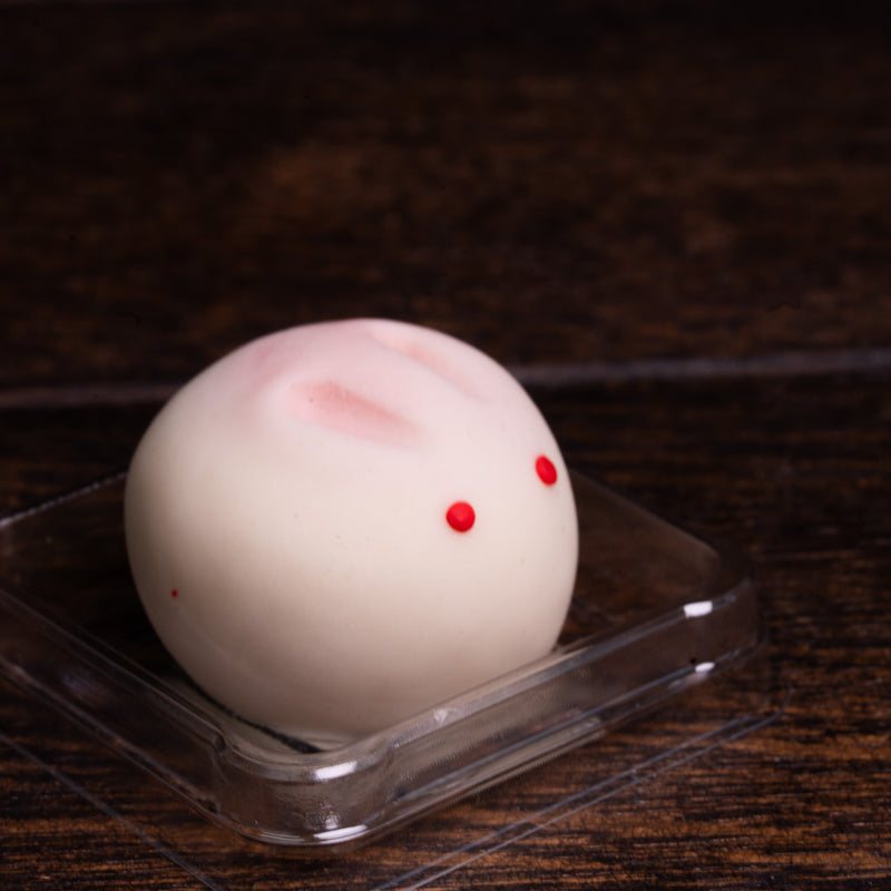 Solid Cleansing Handmade Soap - Rabbit Design