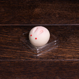 Solid Cleansing Handmade Soap - Rabbit Design